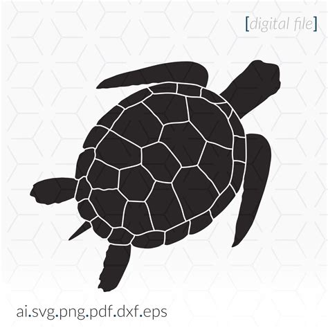 Hand Drawn Turtle Cute Turtle Svg File Cutting Files Svg Files For