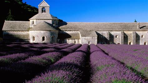 Provence Wallpapers Wallpaper Cave