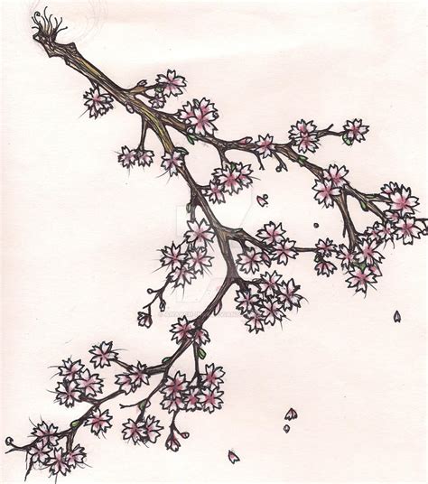 Cherry Blossoms By Anarch Inks On Deviantart