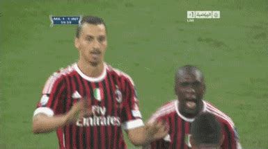 Zlatan ibrahimovic elbowed an lafc player so hard that he dented his head and will now need surgery lesson to be. 19 GIFs that tell you everything you need to know about ...