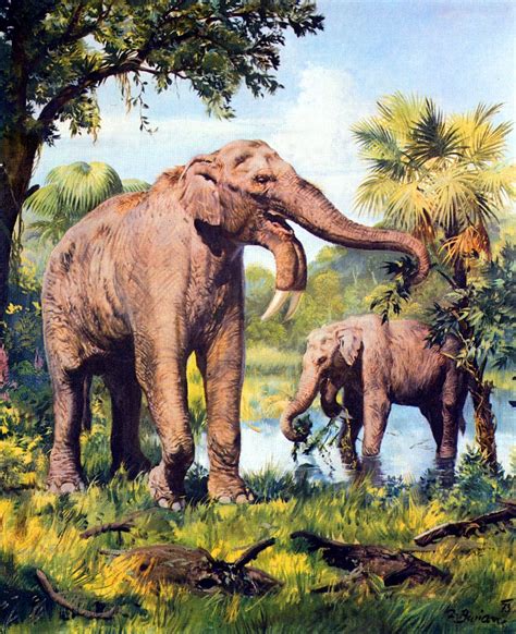 An Early Species Of Elephant By Burian 1973 Prehistoric Animals