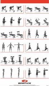Images of Workout Routine On Bowflex