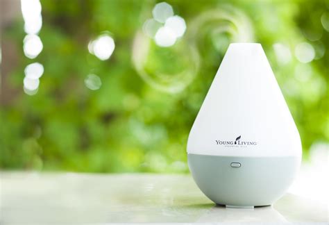 Winners of multiple prestigious awards in malaysia and at the international level, today globalart is an internationally recognized pioneer and leader in art enrichment program. Dew Drop Diffuser ~ Malaysia 02 | DewdropDiffuser_stylize ...