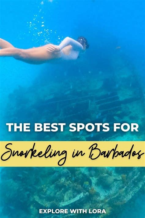 Snorkeling In Barbados Best Beaches To Snorkel In Barbados Explore