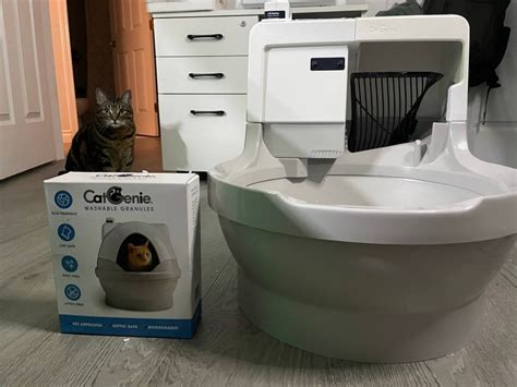 Catgenie Ai Self Flushing Cat Box Review Technomeow