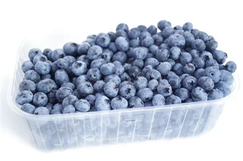 Blueberries In A Transparent Container Stock Image Image Of Nutrition