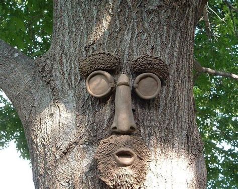Simon Tree Face Tree Faces Outdoor Trees Tree