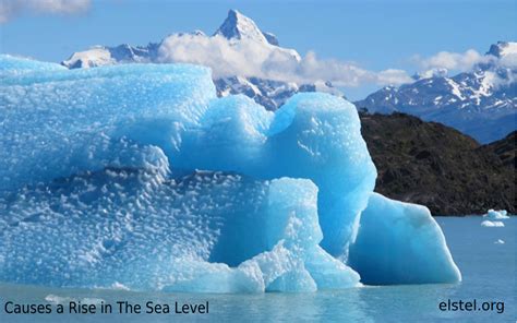 The planet is warming, from north pole to south pole. Sea Level Rise - Elstel.org