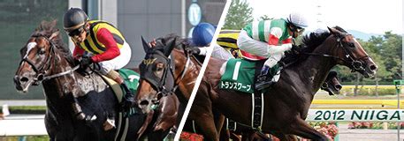 6月13日(日曜) gⅲ函館スプリントステークス札幌 1,200メートル芝 7月4日(日曜) gⅲcbc賞小倉 1,200メートル芝 7月25日(日曜) gⅲアイビスサマーダッシュ 新潟 1,000メートル芝直線 8月22日(日曜) gⅲテレビ西日本賞北九州記念 小倉. 2013年サマーシリーズ