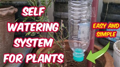 How To Make Self Watering System For Plants Self Watering System