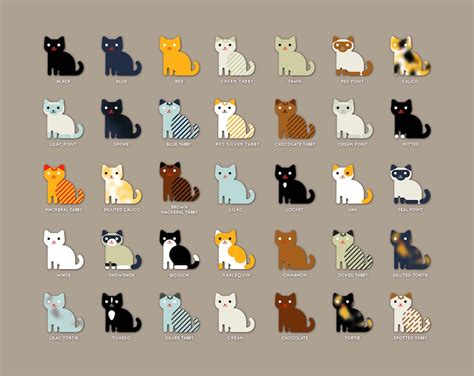 35 Cat Colors And Patterns Original Design Poster Etsy