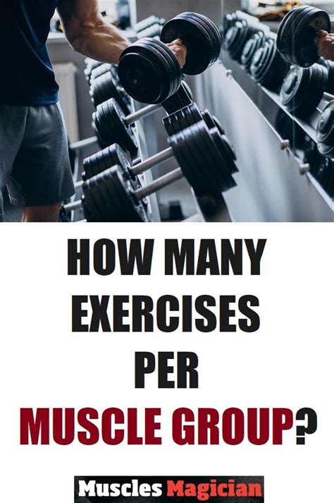 How Many Exercises Per Muscle Group In 2021 Exercise Muscle Groups