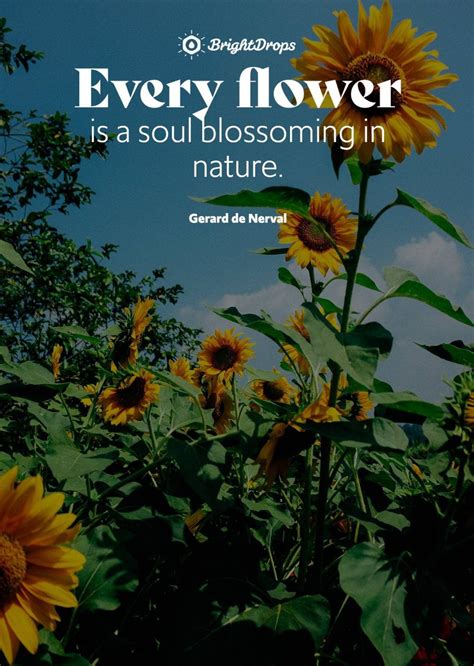 105 Inspirational Nature Quotes On Life And Its Natural Beauty