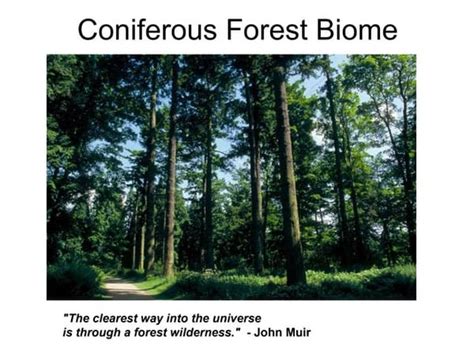 Ib Geography Ecosystems Biomes Taiga Aka Coniferous Forest Ppt