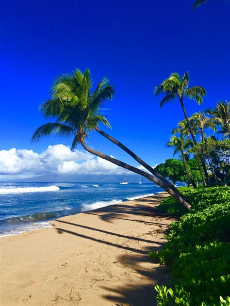 Kaanapali Beach Kaanapali Beach Beach Kaanapali