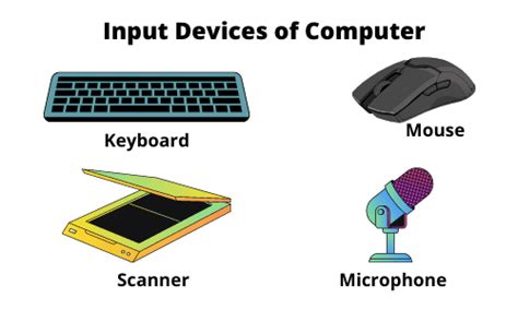 Which Three Parts Of The Computer Receive Input