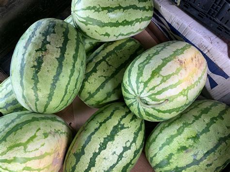 The downtown greenville farmers' market will return on saturday, june 5 in front of the darke county courthouse on the corner of 4th and broadway. Farmers' Market - Main Street Greenville, Mississippi