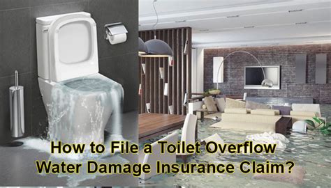 How To File A Toilet Overflow Water Damage Insurance Claim Infoik