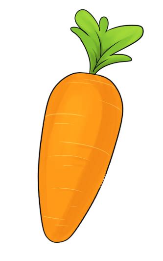 Free Carrot Root Cliparts Download Free Clip Art Free