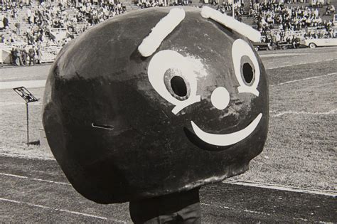 A Detailed Timeline Of The Evolution Of Brutus Buckeye