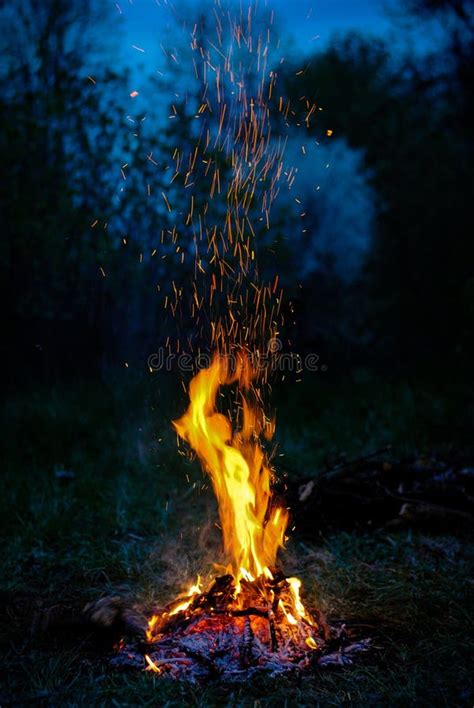 Fire In The Forest Stock Image Image Of Camping Plumb 49807665