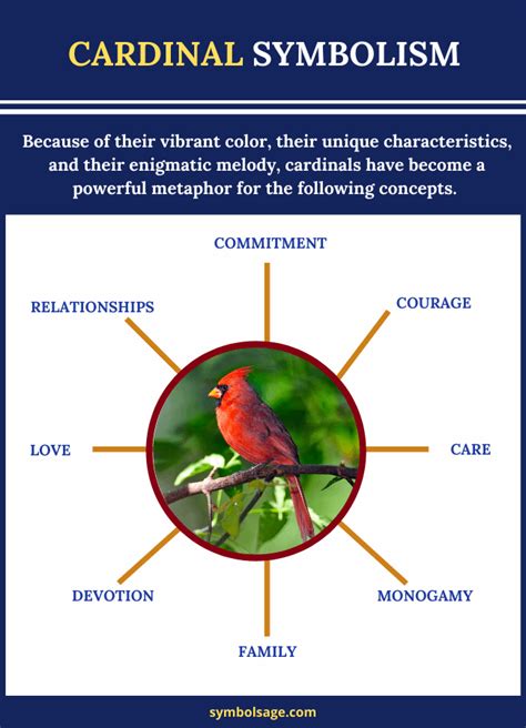 Symbolism Of The Cardinal Bird Symbol Sage