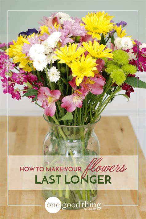 How To Make Your Fresh Cut Flowers Last Longer One Good
