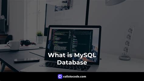 What Is Mysql Database Calisto Code
