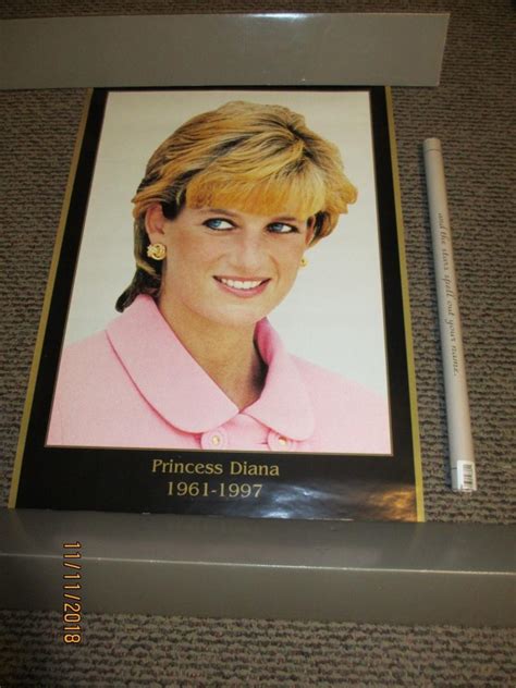 Original Princess Diana Poster 1997 And Englands Rose Diana Poster Lot Of 2 1984630009