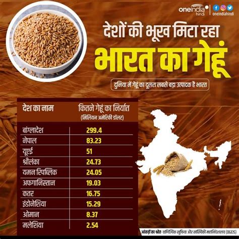 Wheat Export 74 देशों में जाता है भारत का गेहूं टॉप पर बांग्लादेश