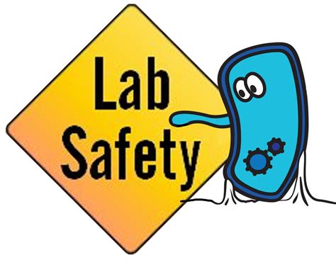 A laminar flow cabinet or tissue culture hood is a carefully enclosed bench designed to prevent contamination of semiconductor wafers, biological samples, or any particle sensitive materials. Free Science Safety, Download Free Clip Art, Free Clip Art ...