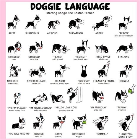Illustrations Of Dog Language By Lili Chin I Love Dogs Puppy Love