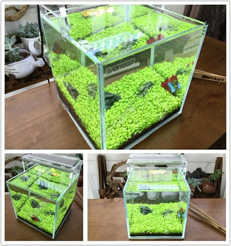 Memiliki akuarium air tawar adalah cara yang sangat bagus untuk menciptakan suasana alam di dalam rumah. Jual benih tanaman air hias rumput aquarium-water grass ...