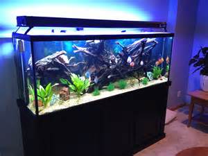 150 gallon discus aquarium Fish Tanks Pinterest