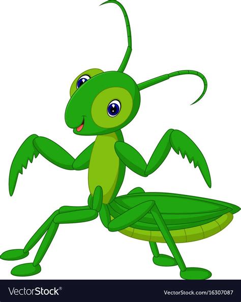 Illustration Of Grasshopper Cartoon Download A Free Preview Or High