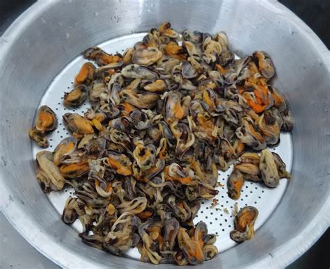 Cara memasak kerang bumbu kuning: Balado kerang | YaNtiMaraGa'S BL0g.CoM