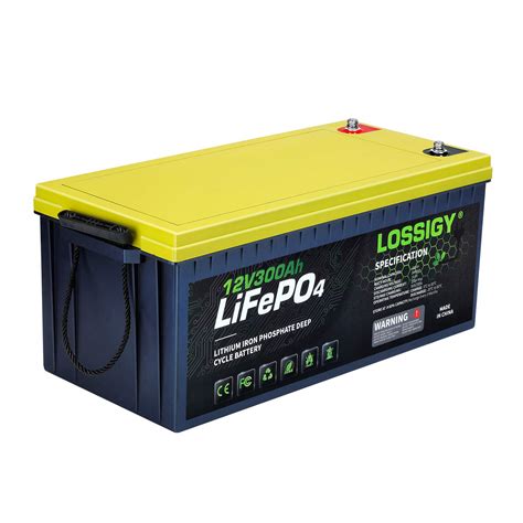 Buy Lossigy 12v 300ah Lifepo4 Battery 3840wh Deep Cycle Lithium With