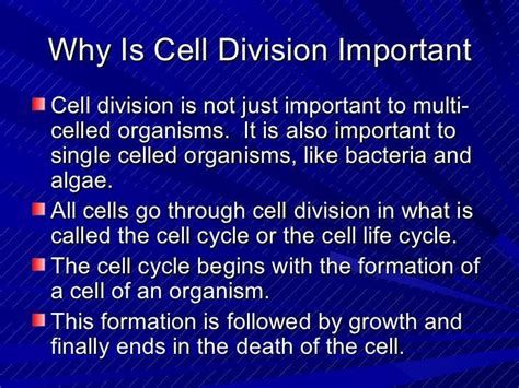 1 Why Is Cell Division Important In The Life Of An Organism Brainly Ph