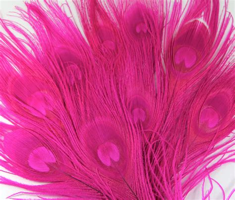 Usa Wholesale Peacock Feathers Hot Pink Peacock By Diycraftshoppe