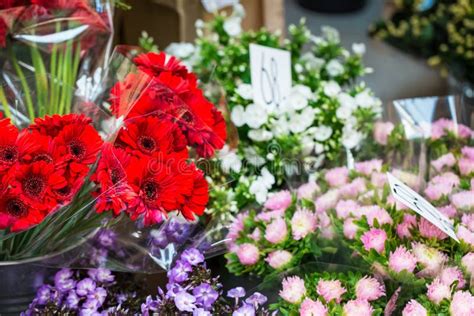 Outdoor Flower Market In Copenhagen Denmark Stock Image Image Of