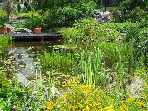 Viele kleine und große tiere nennen ihn ihr zuhause, vögel baden sich darin, fische schnappen nach teich pflegen zu verschiedenen jahreszeiten. Gartenteich anlegen: Schritt für Schritt zum ...
