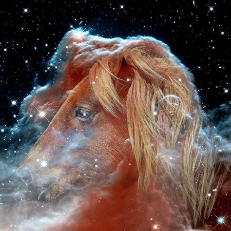 Horsehead Nebula With Horse Head Outer Space Image Photograph By Bill