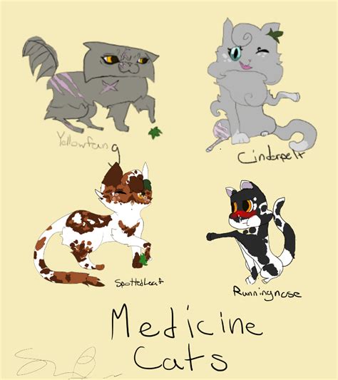 Medicine Cats 100 Warriors Challenge By Loveyheart007 On Deviantart