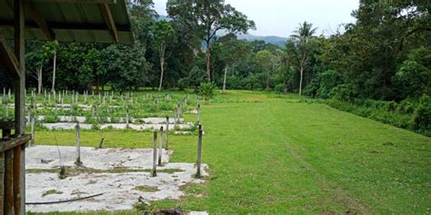 Find 14 traveler reviews, 35 candid photos, and prices for 6 bed and breakfasts in hulu langat, malaysia. Tanah Sungai Hulu Langat - Ejen Hartanah | Tanah Untuk ...