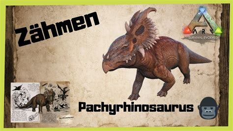 🦖ark‬ Survival Evolved 🦖 Pachyrhinosaurus Zähmen 2022 Taminginfo
