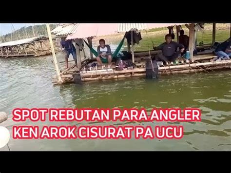 Spot Ini Makin Menggila Ikan Nila Dan Ikan Mas Ngumpul Disini