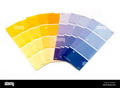 Paint Swatches And White Background Hi Res Stock Photography And Images