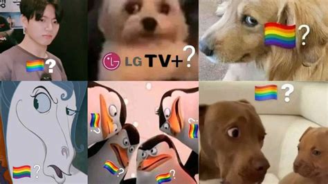 Pride Flag Question Mark Know Your Meme