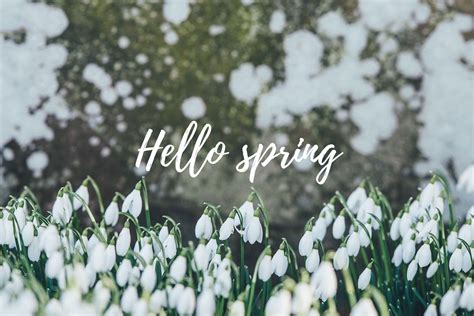 Hello Spring Computer Wallpapers Top Free Hello Spring Computer