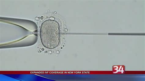 A Law Expanding Vitro Fertilization Coverage In Nys Is Soon To Go Into Effect Youtube
